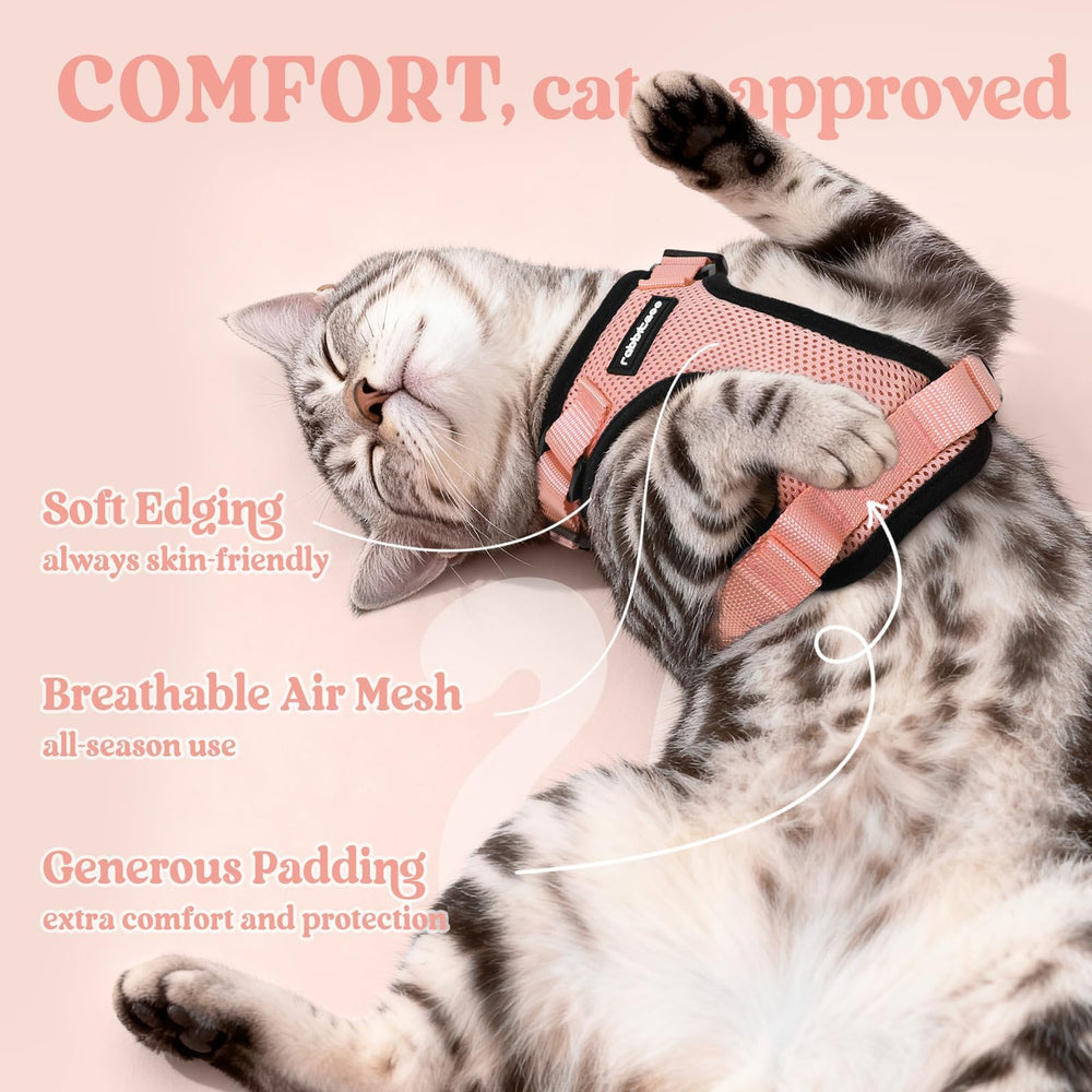 Rabbitgoo cat harness with escape-proof closure for secure outings.