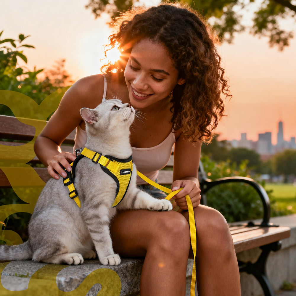 Rabbitgoo cat harness escape-proof design with sturdy buckles for safety outdoors.