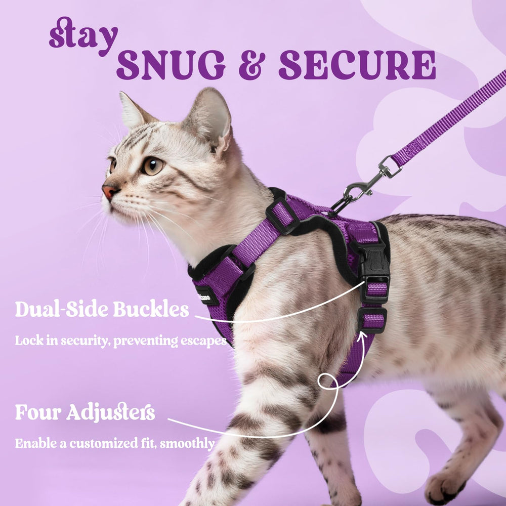 Rabbitgoo four adjustable straps for a precise, comfortable fit.