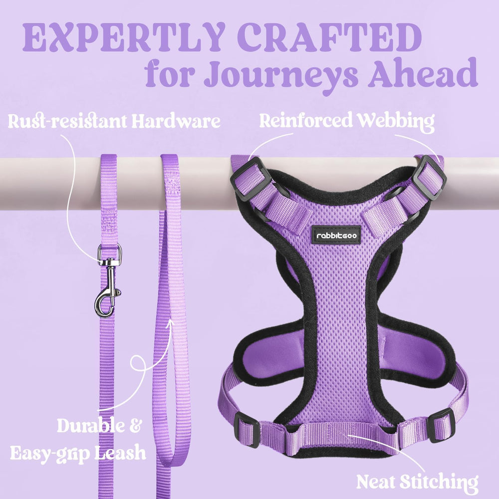 Rabbitgoo light-purple cat harness adds playful style to outings.