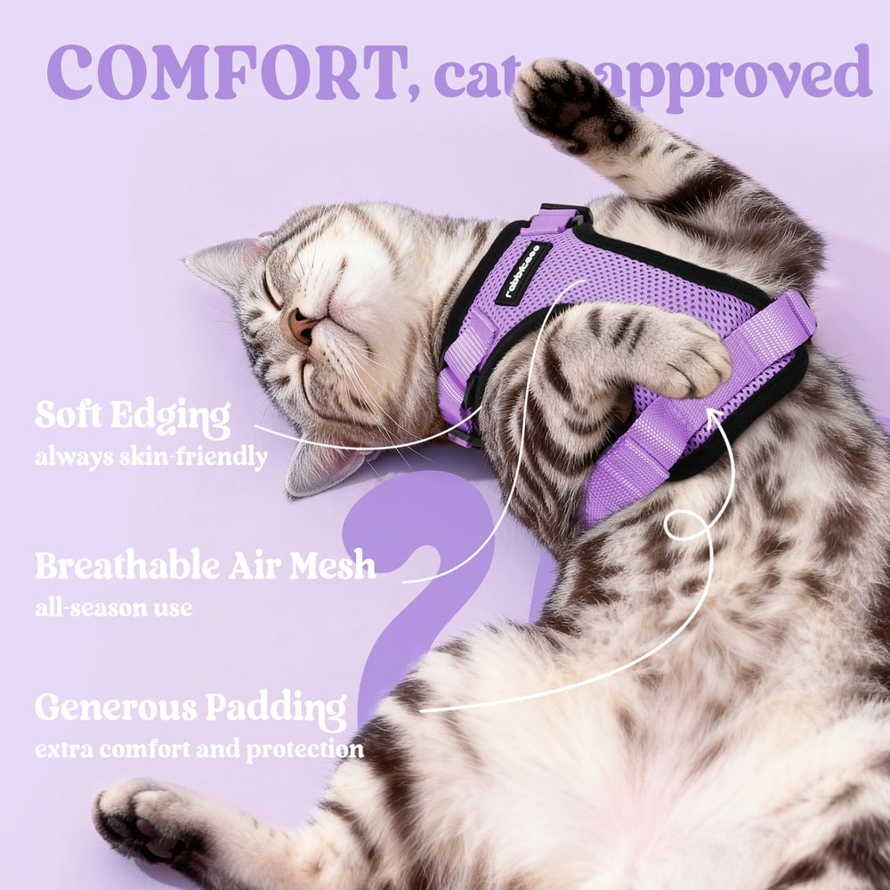 Rabbitgoo overhead-design cat harness fits quickly for easy wearing.