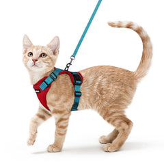 Rabbitgoo cat harness overhead-fit image shows quick slip-on for comfortable outdoor adventures