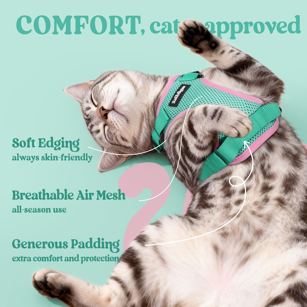 Rabbitgoo cat harness reflective strips boost visibility for safer walks day and night