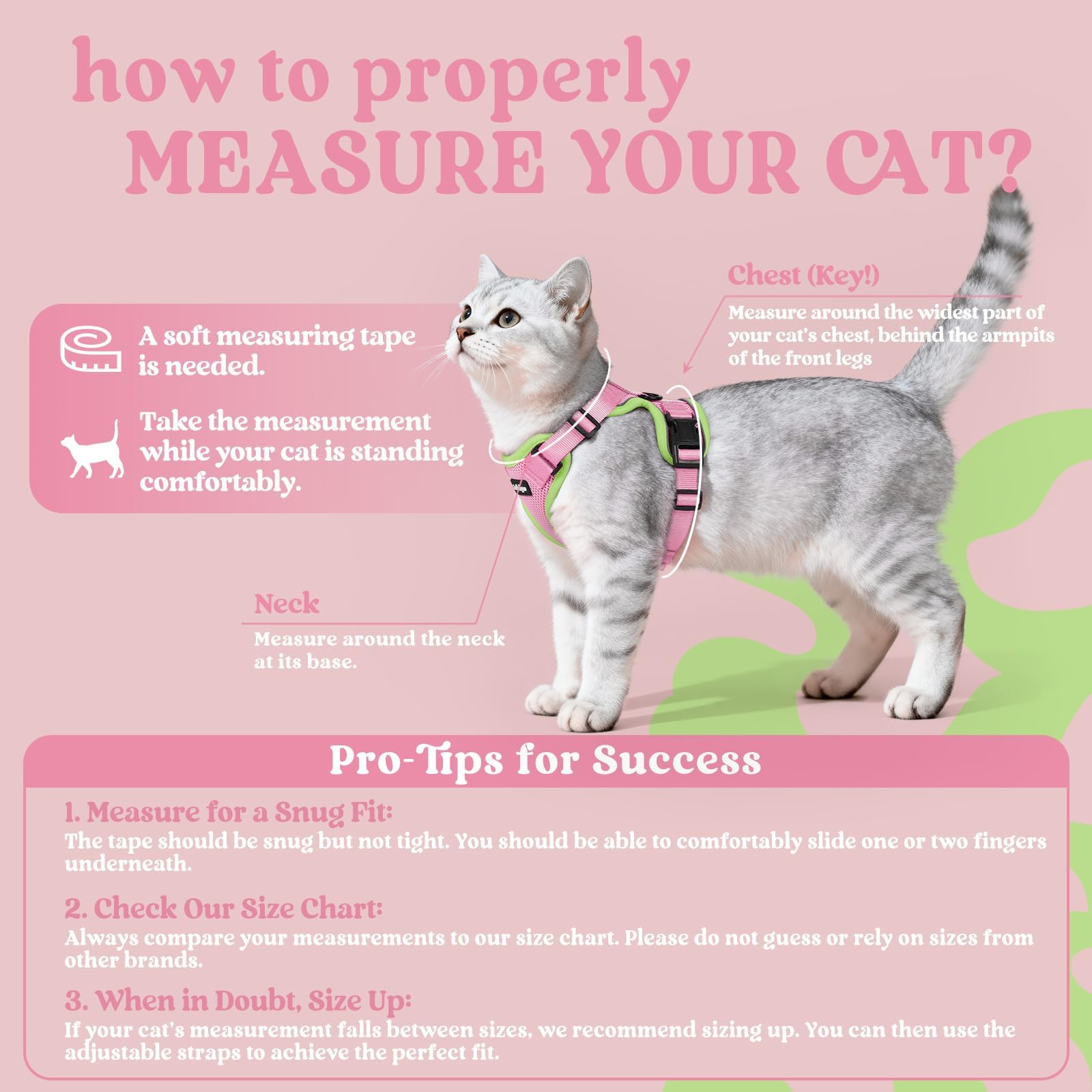 Rabbitgoo cat harness reflective strips boost visibility for safer night walks.