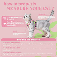 Rabbitgoo cat harness reflective strips boost visibility for safer night walks.