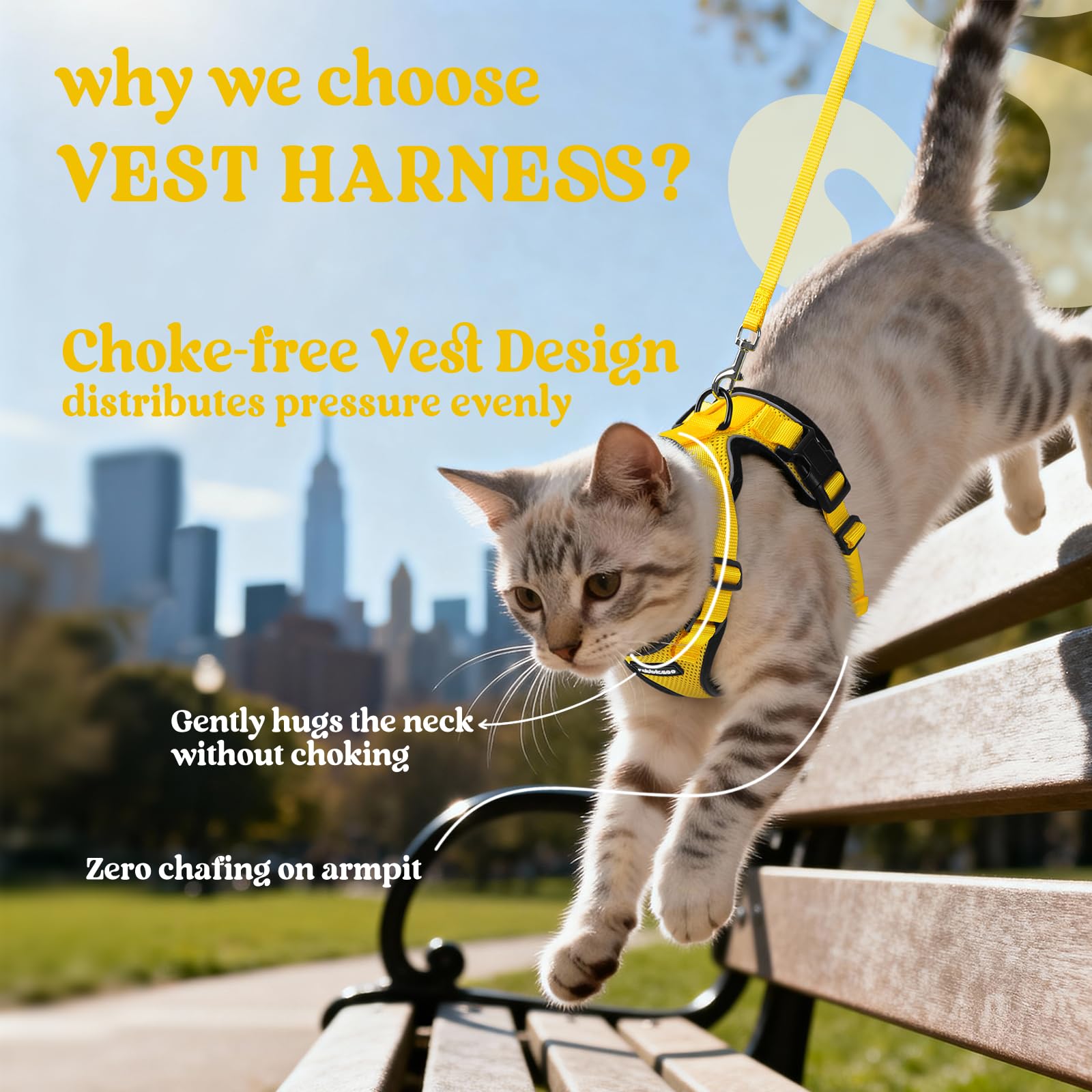 Rabbitgoo cat harness reflective strips improve visibility during dusk or night walks.