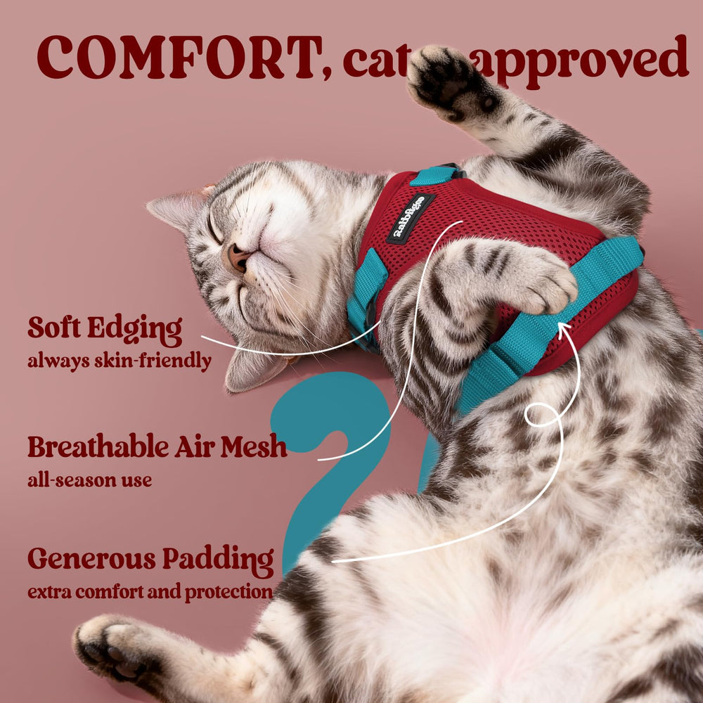Rabbitgoo cat harness reflective-strips enhances visibility day and night during strolls