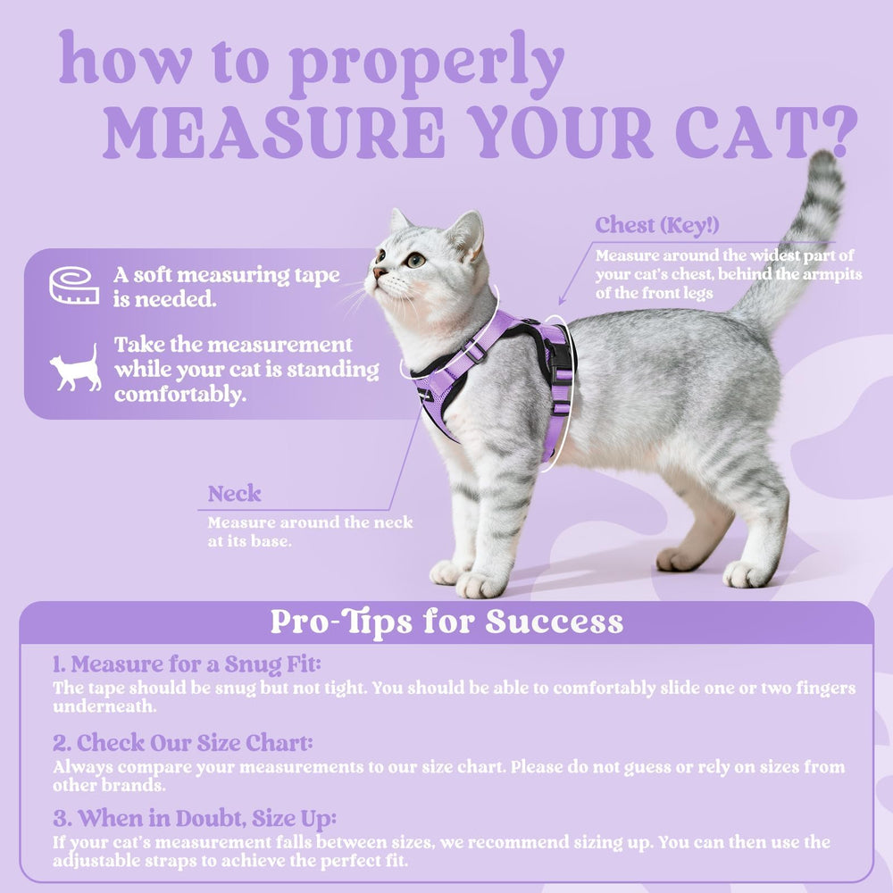 Rabbitgoo cat harness reflective strips improve visibility during day and night use.