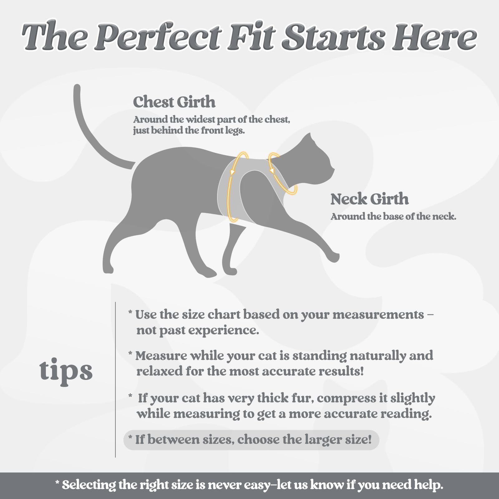 Rabbitgoo cat harness vest soft-edged fabric for gentle wear.