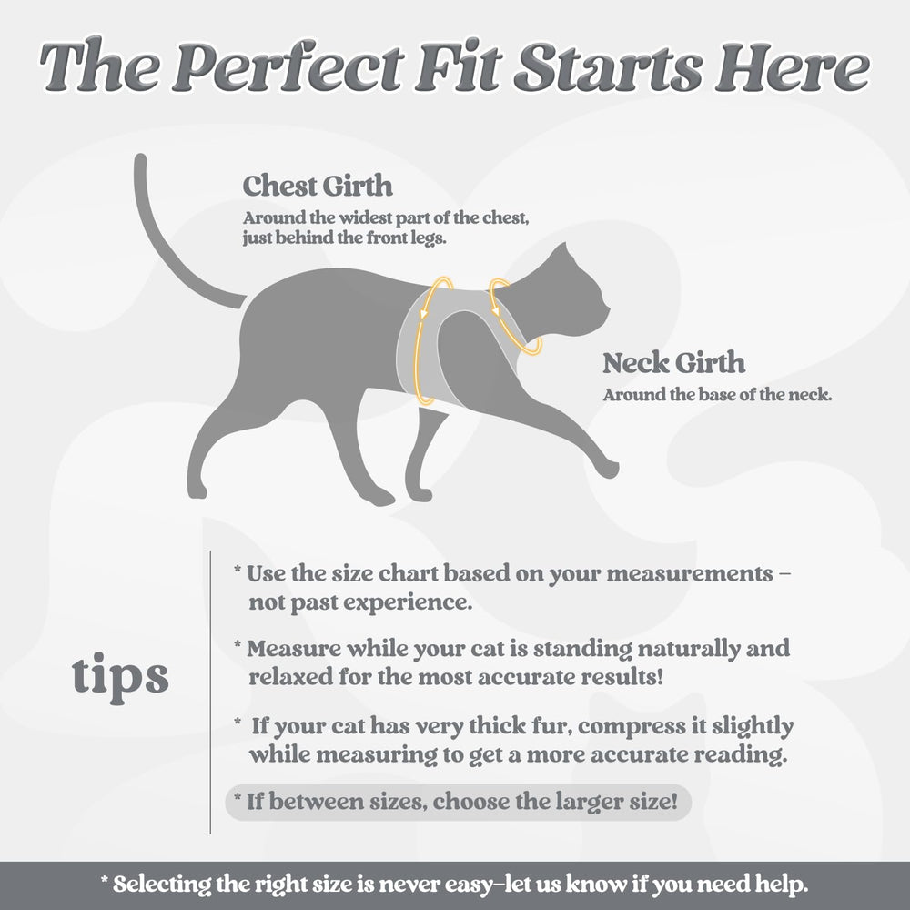 Rabbitgoo cat harness vest soft-edged fabric for gentle wear.