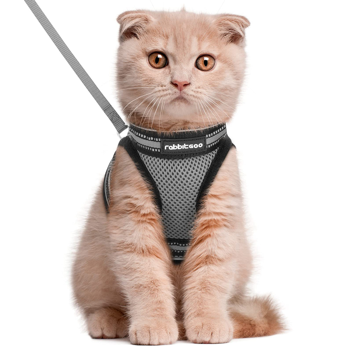 Rabbitgoo cat harness vest comfort-padding for calm outdoor strolls.