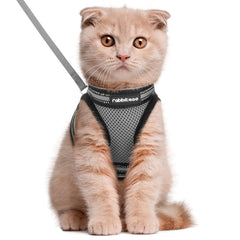 Rabbitgoo cat harness vest comfort-padding for calm outdoor strolls.