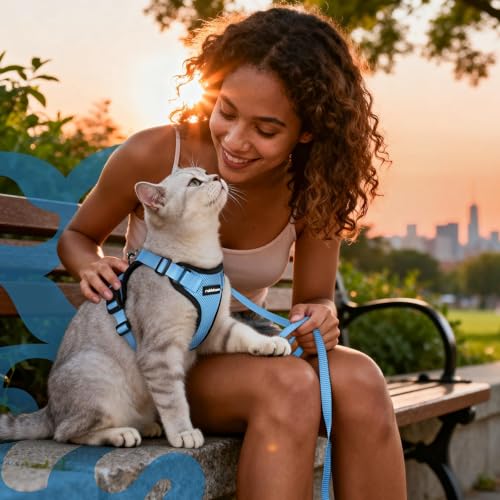 Rabbitgoo harness during vet visits provides calming comfort and control.