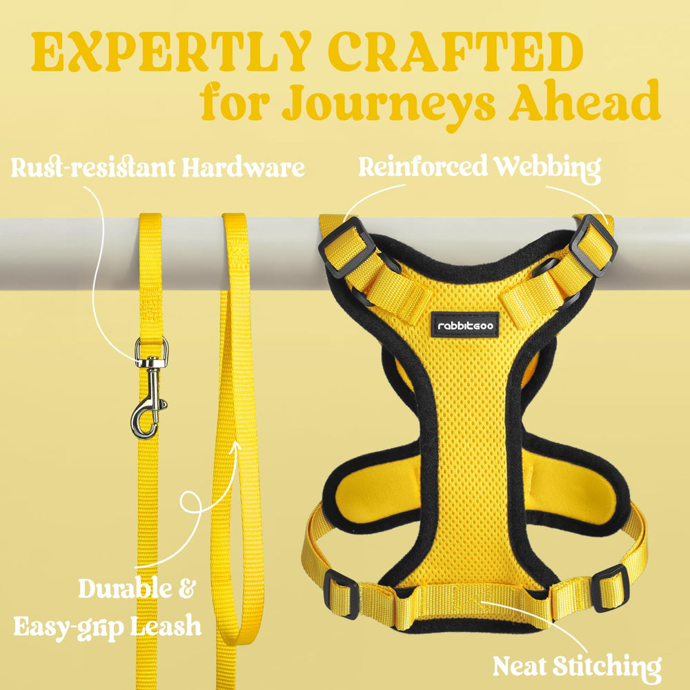Rabbitgoo cat harness comfort during vet visits helps ease stressful moments.