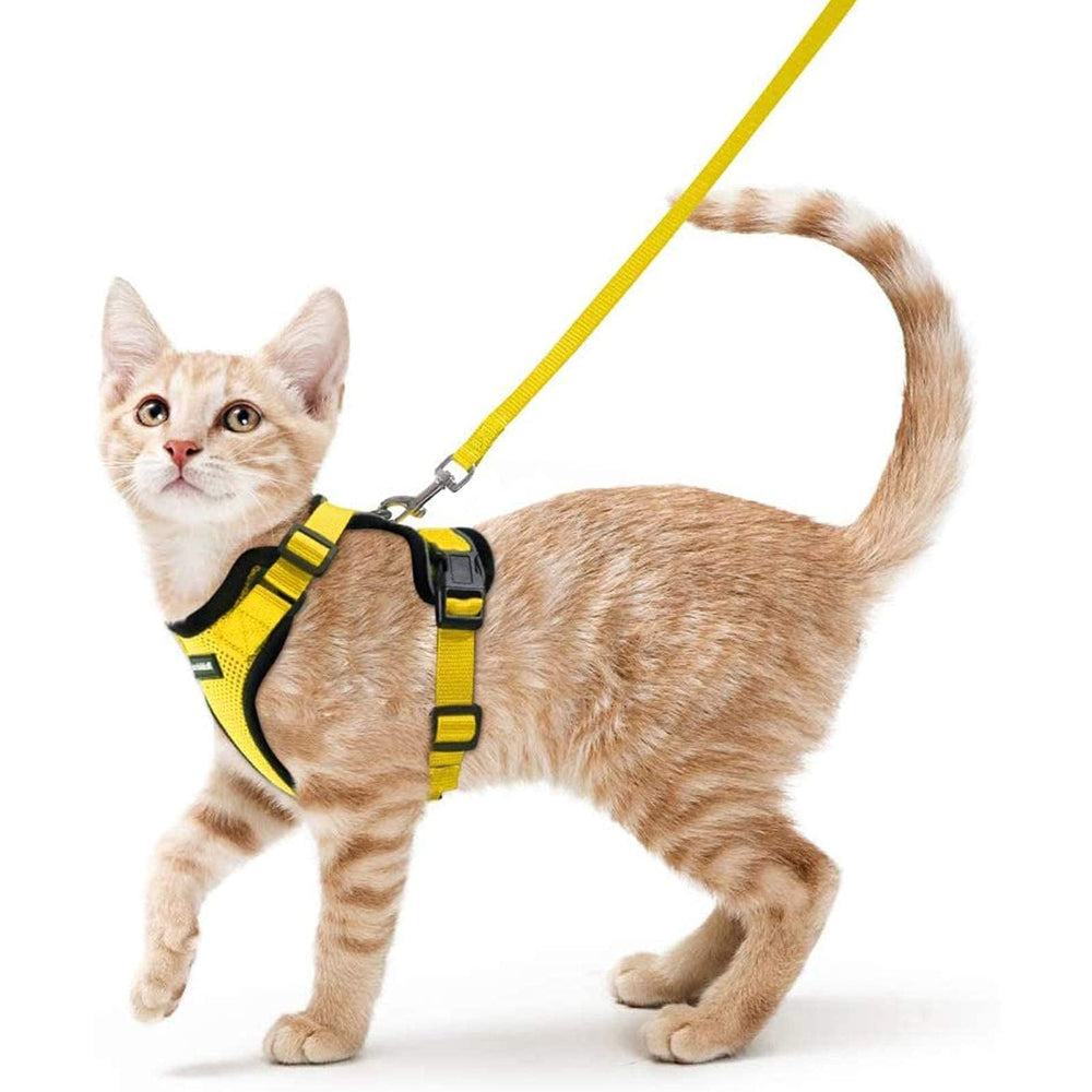Rabbitgoo cat harness yellow XS overhead fit for easy, secure daily strolls.
