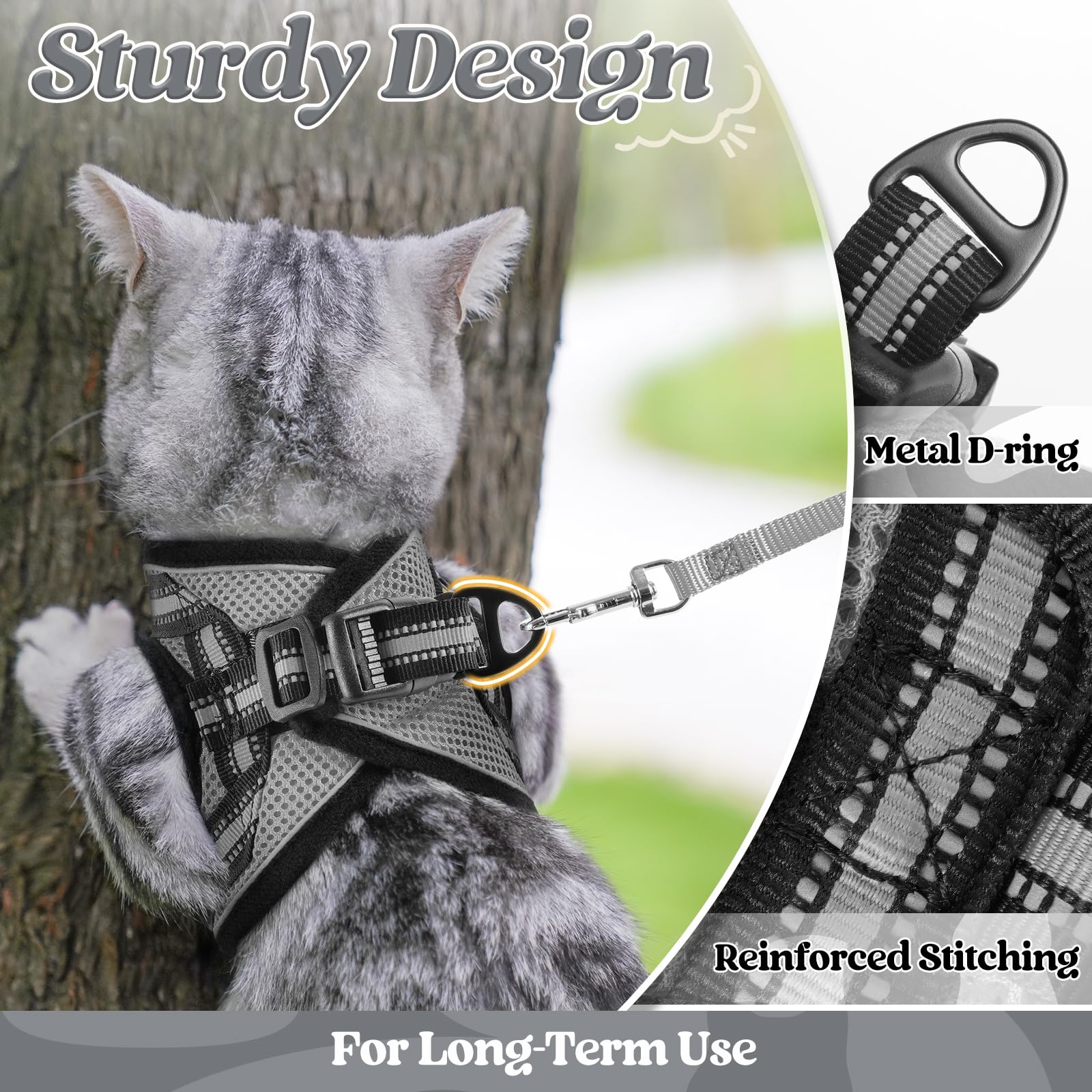 Rabbitgoo 59-inch leash provides flexible control for outdoor exploration.