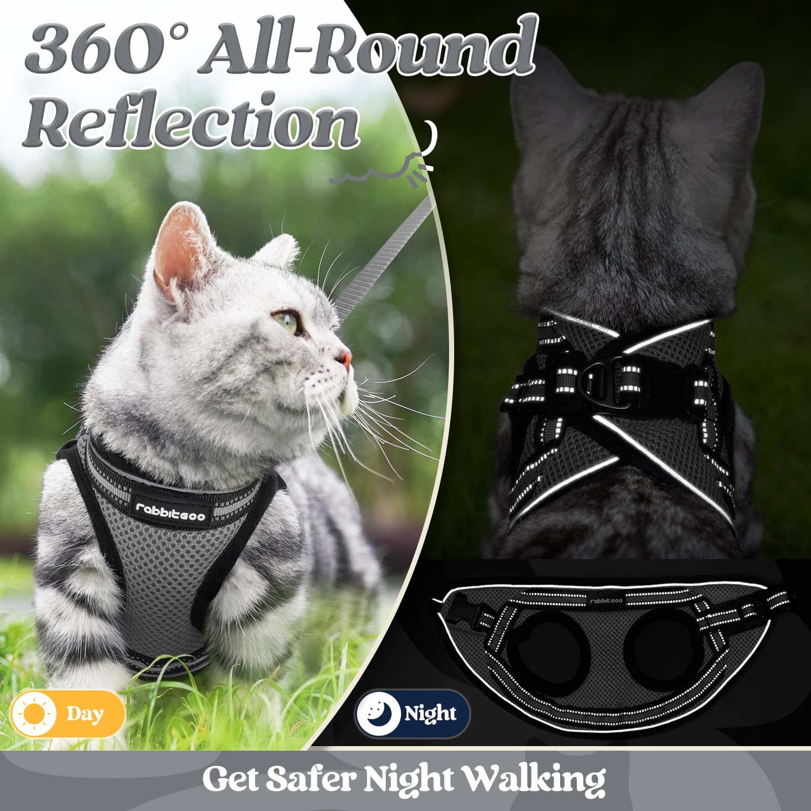 Rabbitgoo outdoor walk setup ready to use with harness and leash.