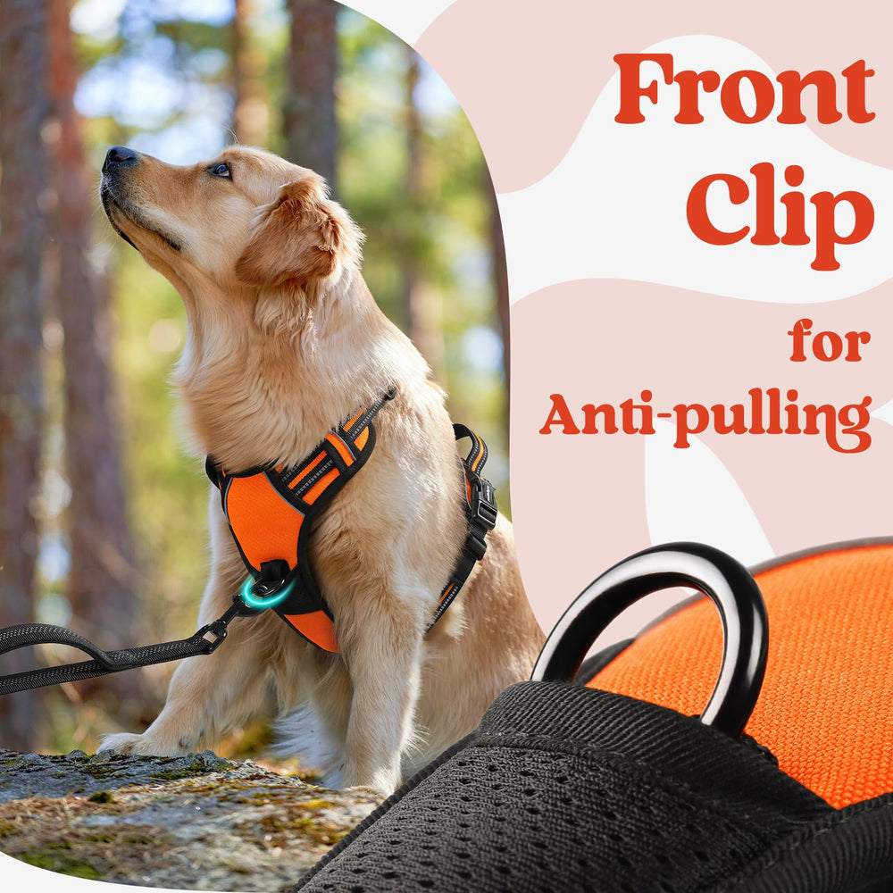 Rabbitgoo control handle provides secure, gentle guidance when needed.