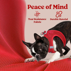 Rabbitgoo D-ring leash attachment on red harness secures daily outings.