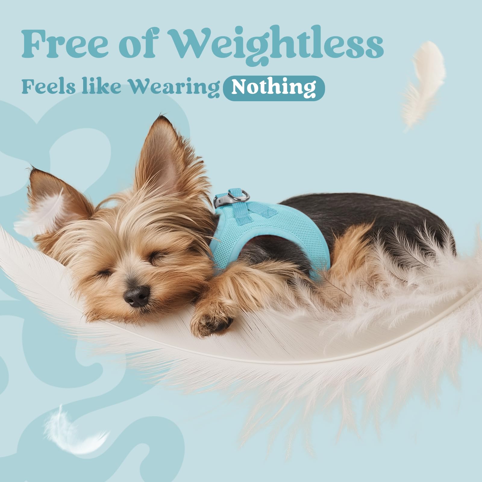 Rabbitgoo D-ring leash attachment secured for reliable control