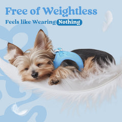 Rabbitgoo D-ring leash attachment provides secure leash connection for confident walks.