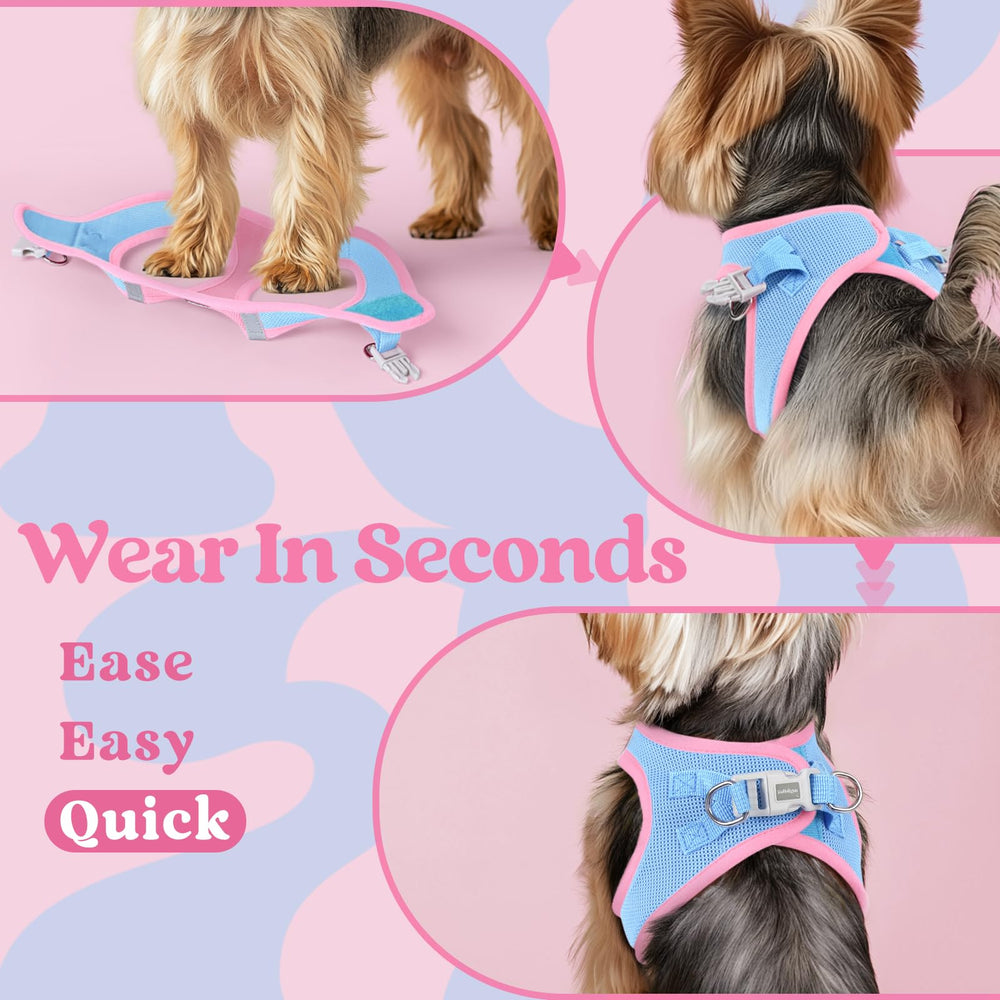 RabbitGoo D-ring leash attachment enables secure leash connection