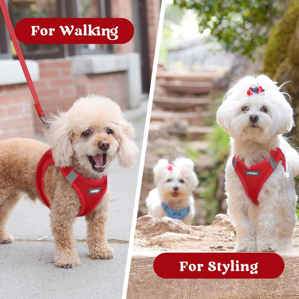 Rabbitgoo daily walk and playtime harness ideal for small dogs