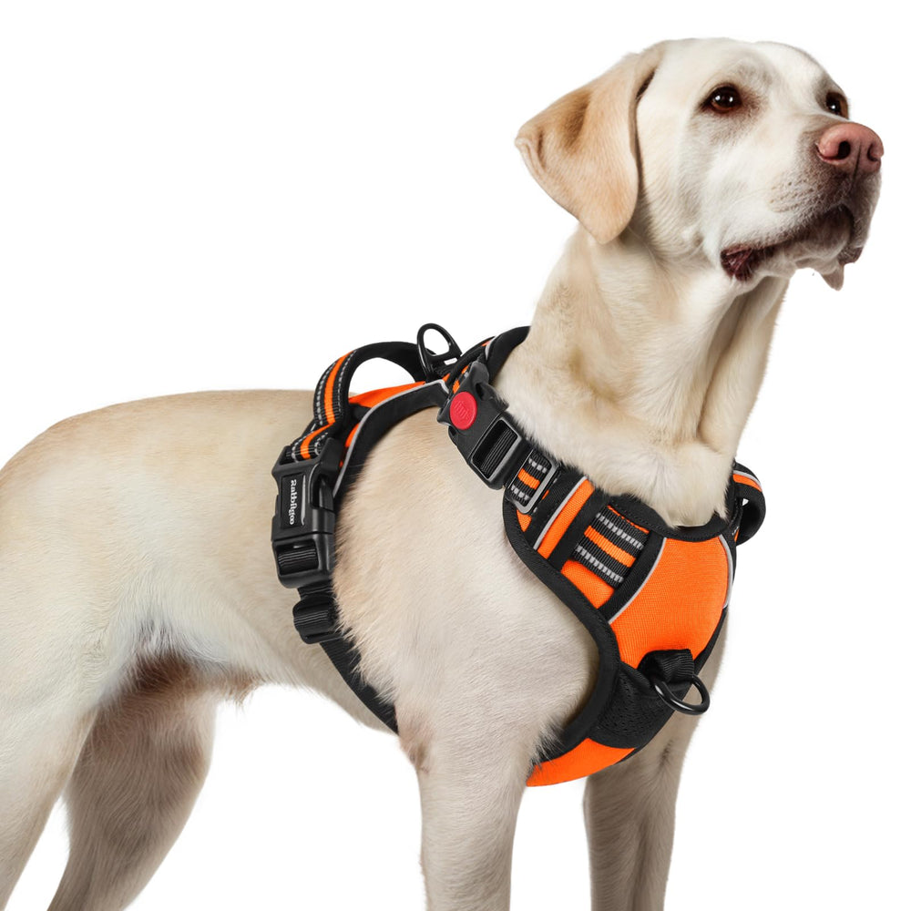 Rabbitgoo dog harness with three quick-release buckles for easy on/off during daily walks.