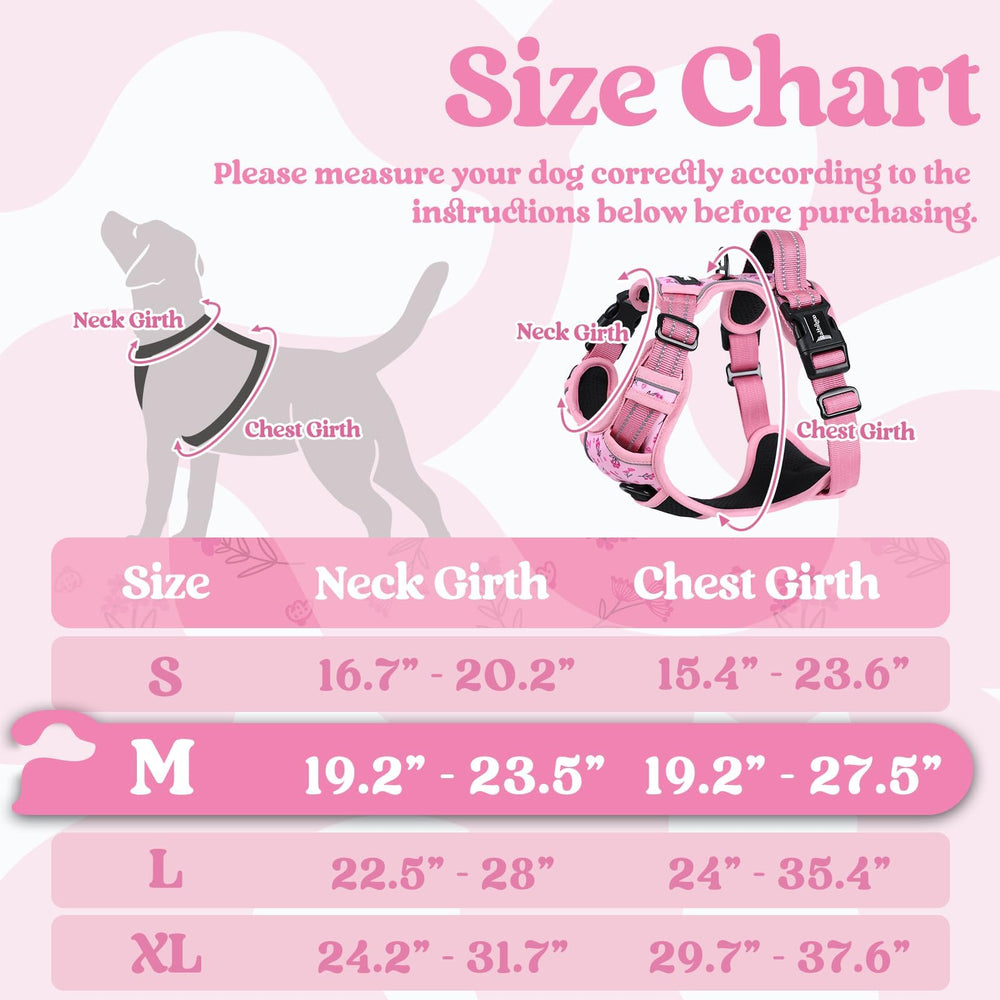 rabbitgoo dog harness closeup with three quick-release buckles for easy on and off.