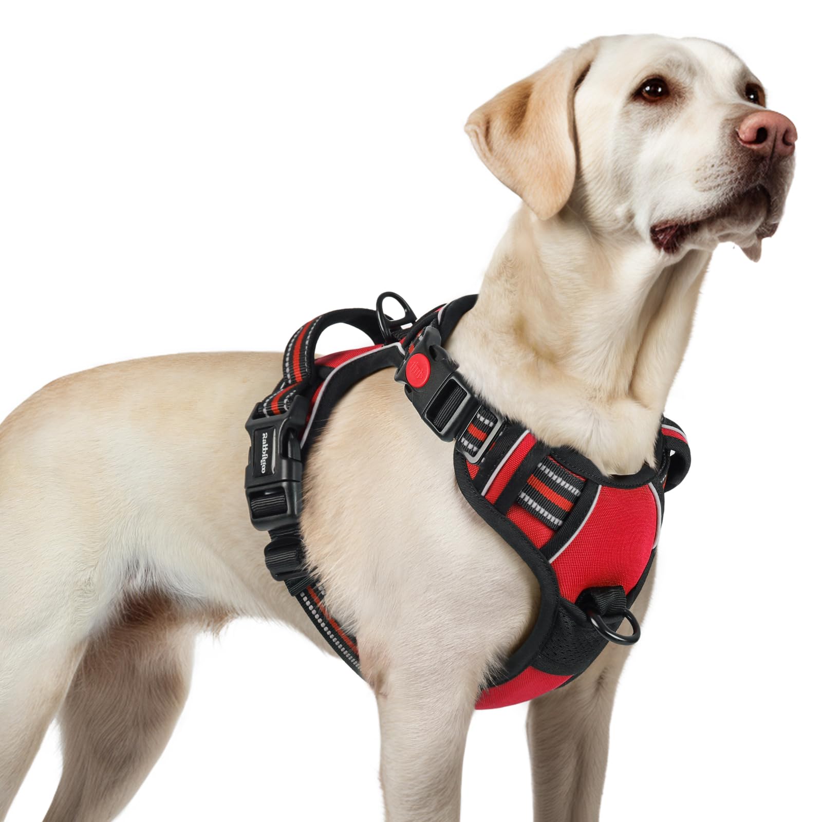 Rabbitgoo dog harness with three buckles for secure fit and easy on-off.
