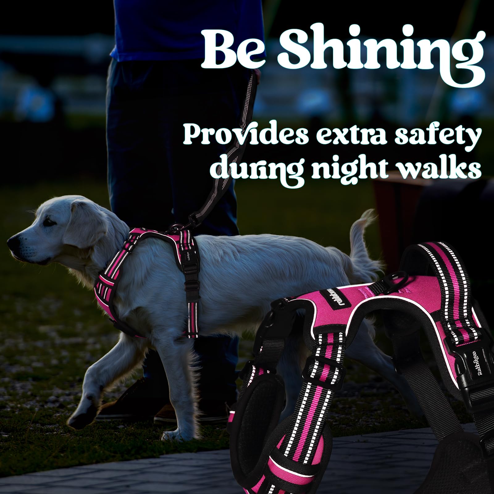 Rabbitgoo adjustable straps grow with your dog for a comfortable fit