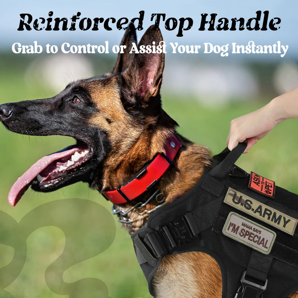 Rabbitgoo dog harness with adjustable straps ensures snug fit and full mobility.