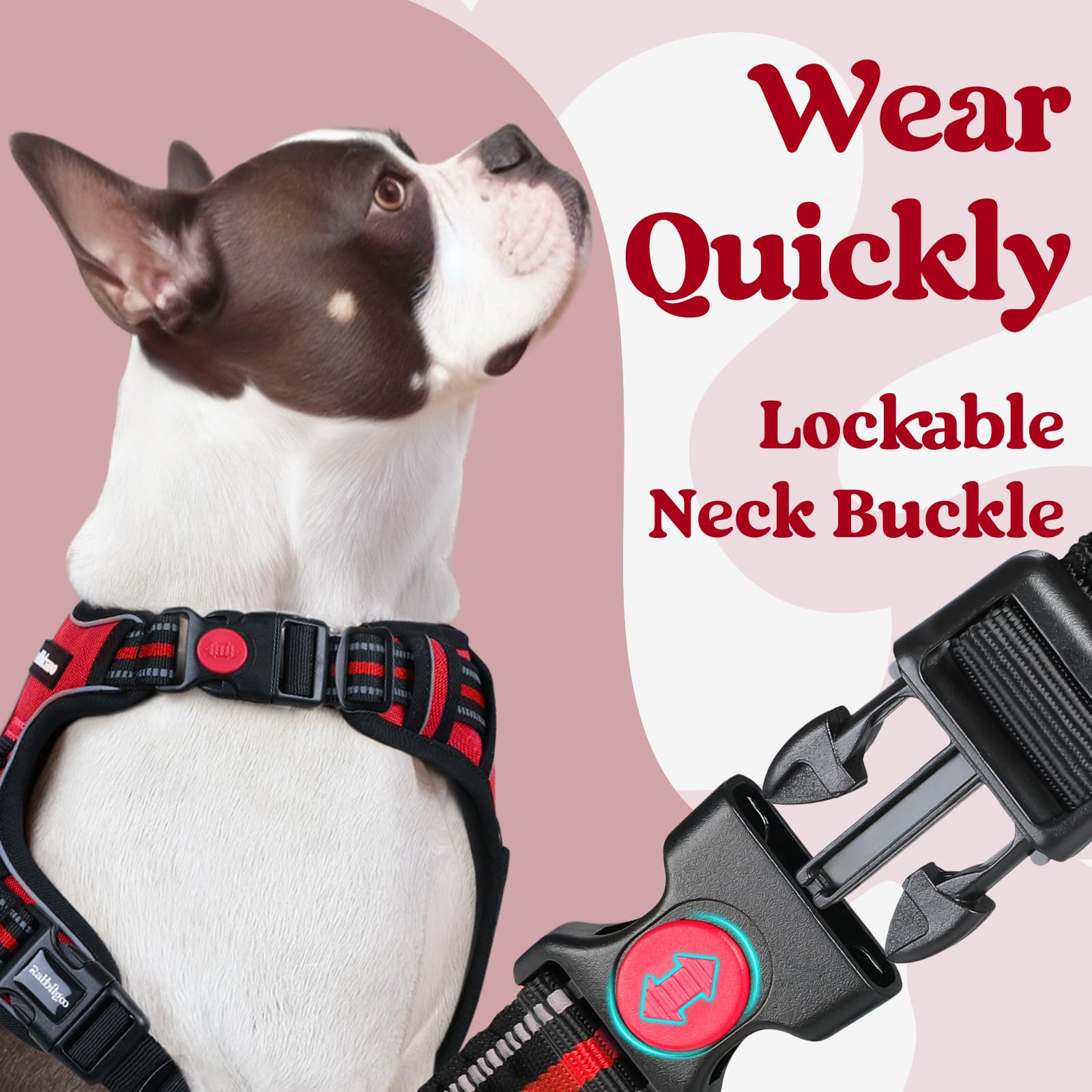 Rabbitgoo harness adjustable straps provide a comfortable, flexible fit for growing dogs.