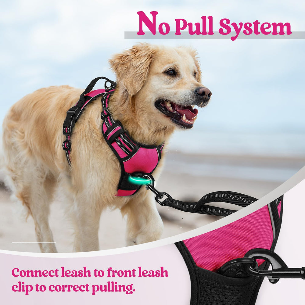 Rabbitgoo adjustable-straps ensure secure fit with space to grow.