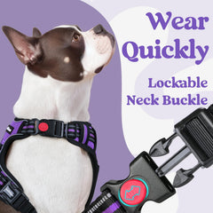 rabbitgoo adjustable straps provide a snug fit as dogs grow taller