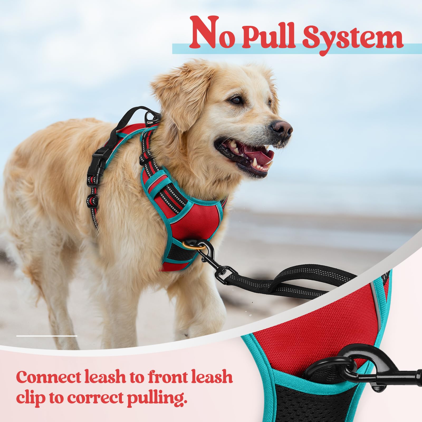 Rabbitgoo adjustable straps allow a precise, growing fit.