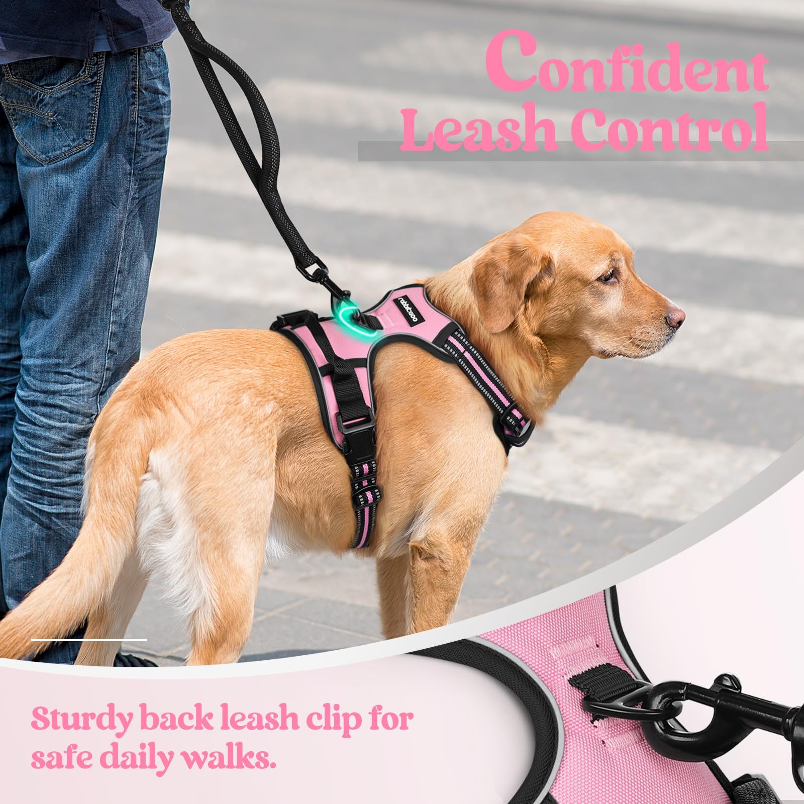 Rabbitgoo adjustable straps ensure a secure fit for growing dogs