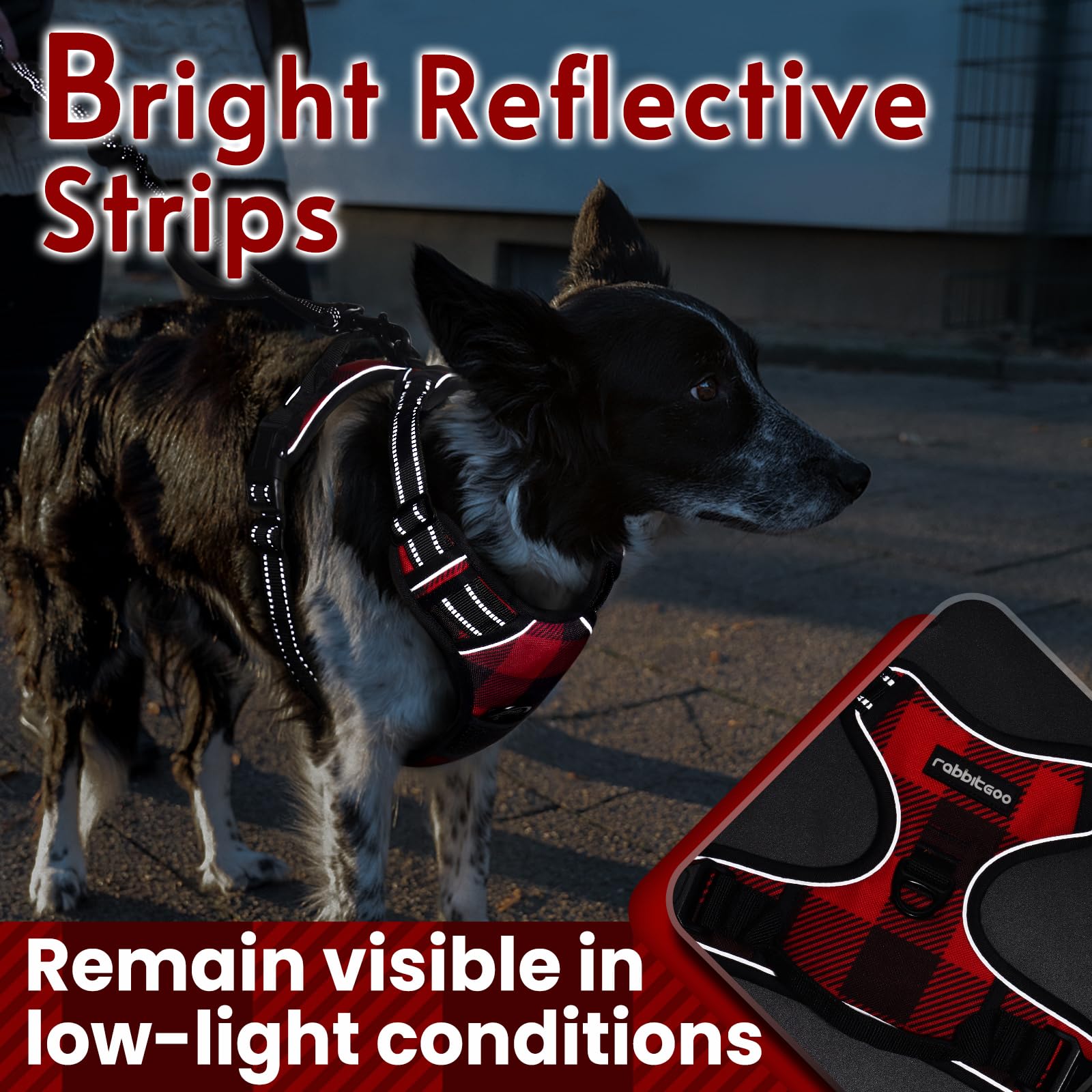 rabbitgoo dog harness adjustable straps showing four-point fit for growth