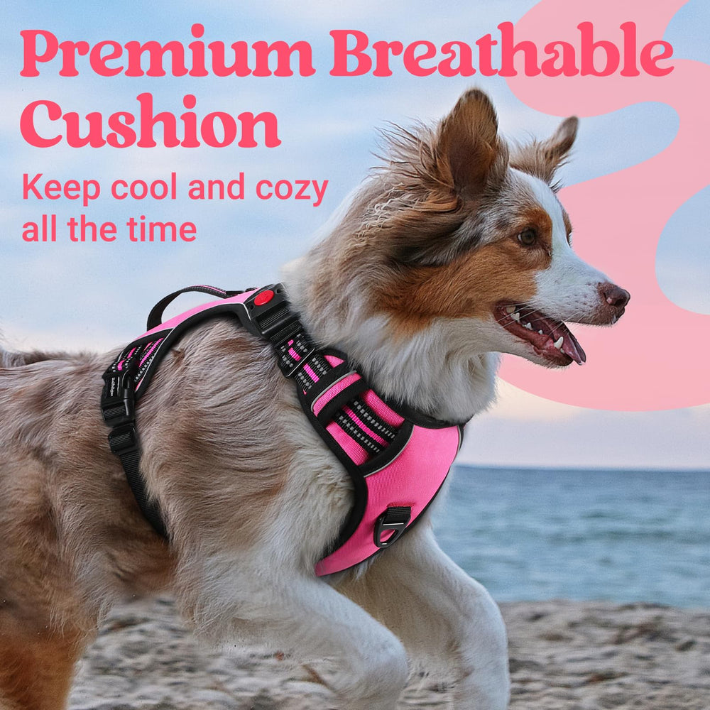 Rabbitgoo adjustable-fit harness highlights four-point adjustability for a snug feel.