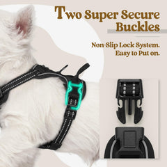 Rabbitgoo harness back clip enables casual strolls with comfortable grip