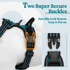 Rabbitgoo dog harness back clip for casual strolls and comfortable everyday wear.