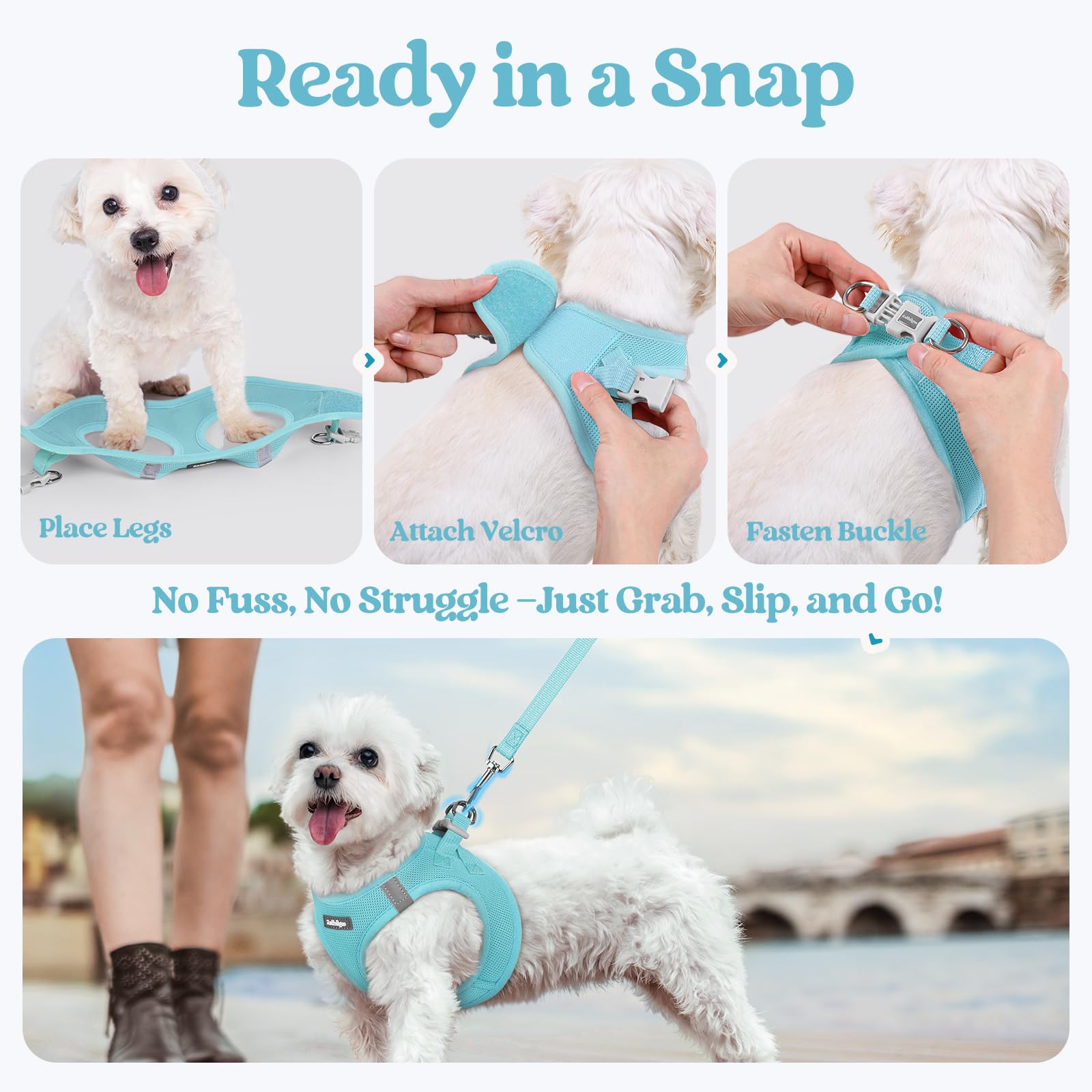 rabbitgoo dog harness back D-rings mint blue safety design for secure control