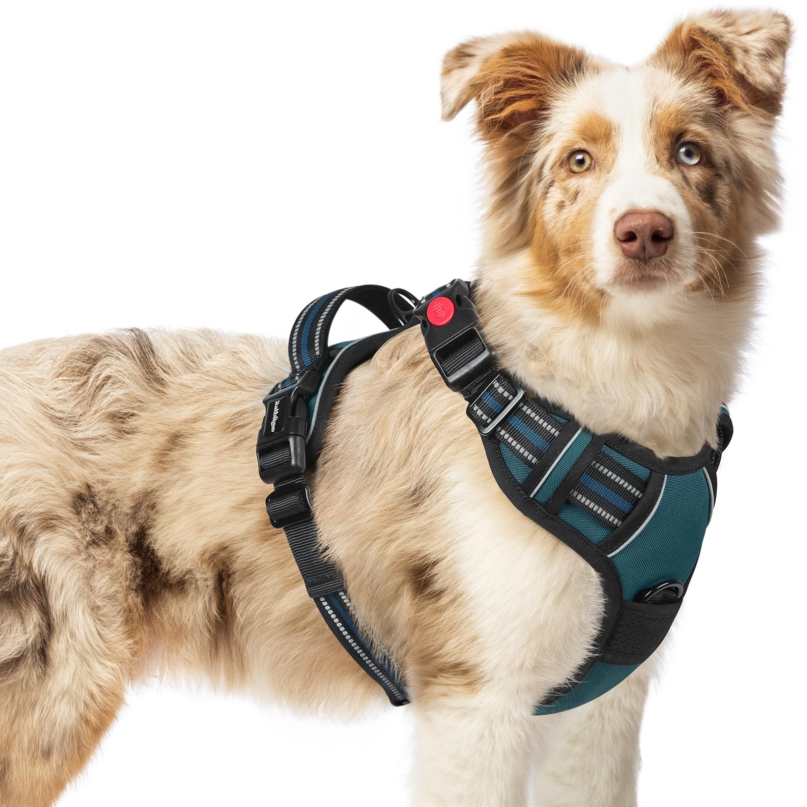 Rabbitgoo dog harness blue coral three-buckle design enables quick on-off