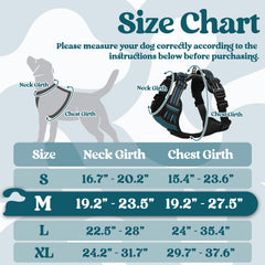 Rabbitgoo dog harness adjustable-straps for perfect fit across growing dogs