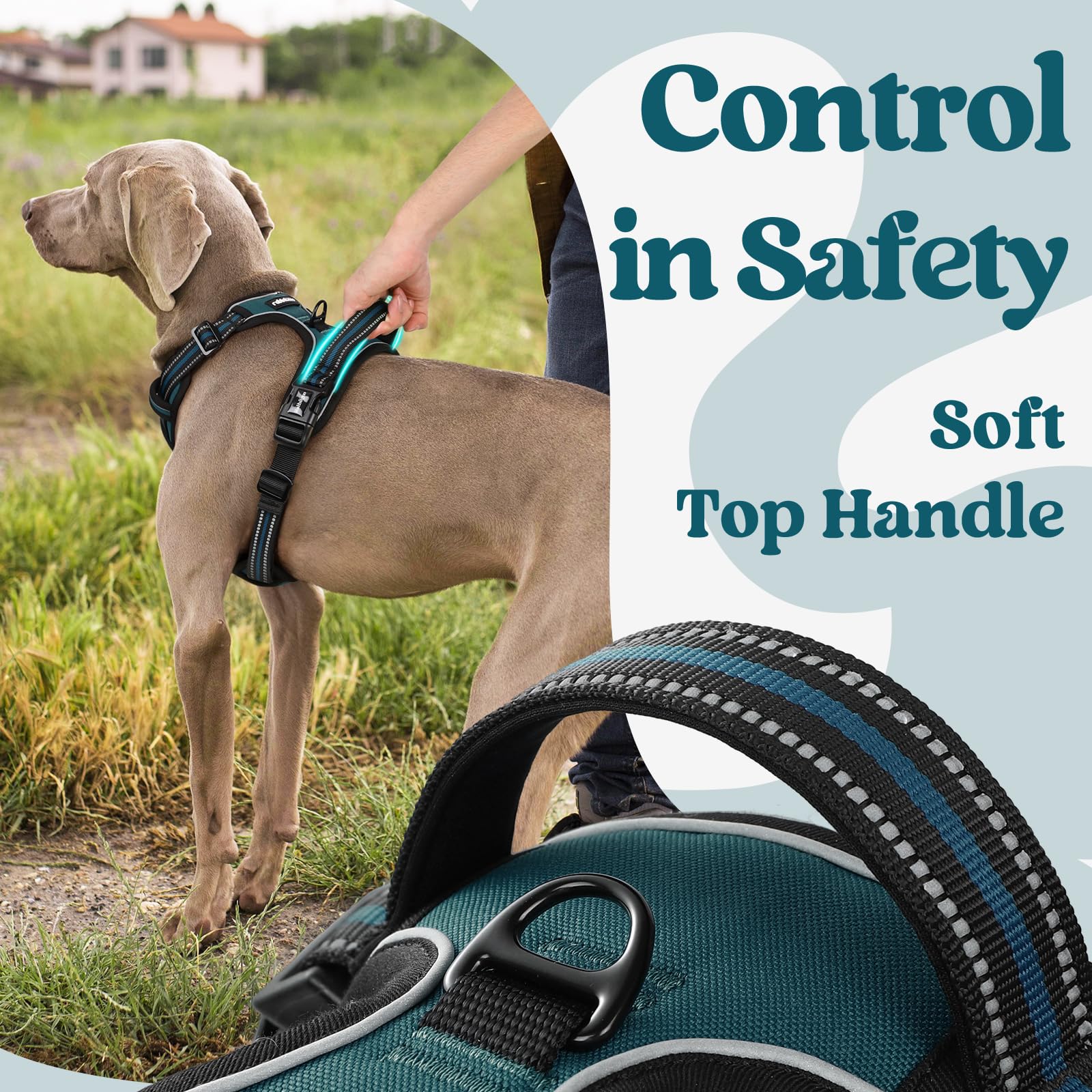 Rabbitgoo dog harness control-handle provides secure, gentle assistance during training