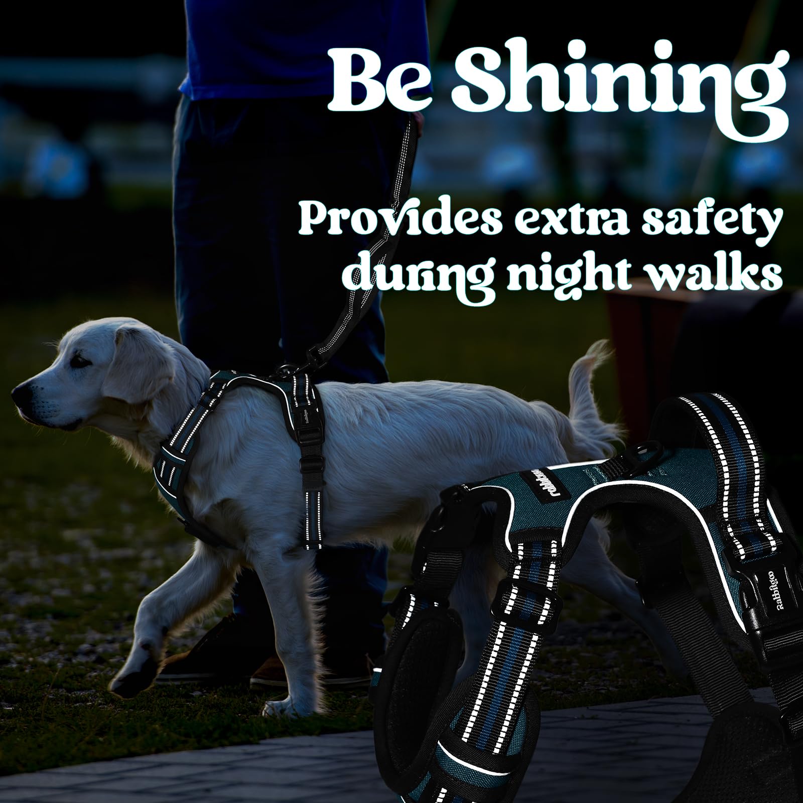 Rabbitgoo dog harness secure-neck-buckle enhances safety during active adventures