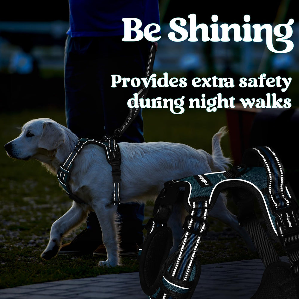 Rabbitgoo dog harness secure-neck-buckle enhances safety during active adventures