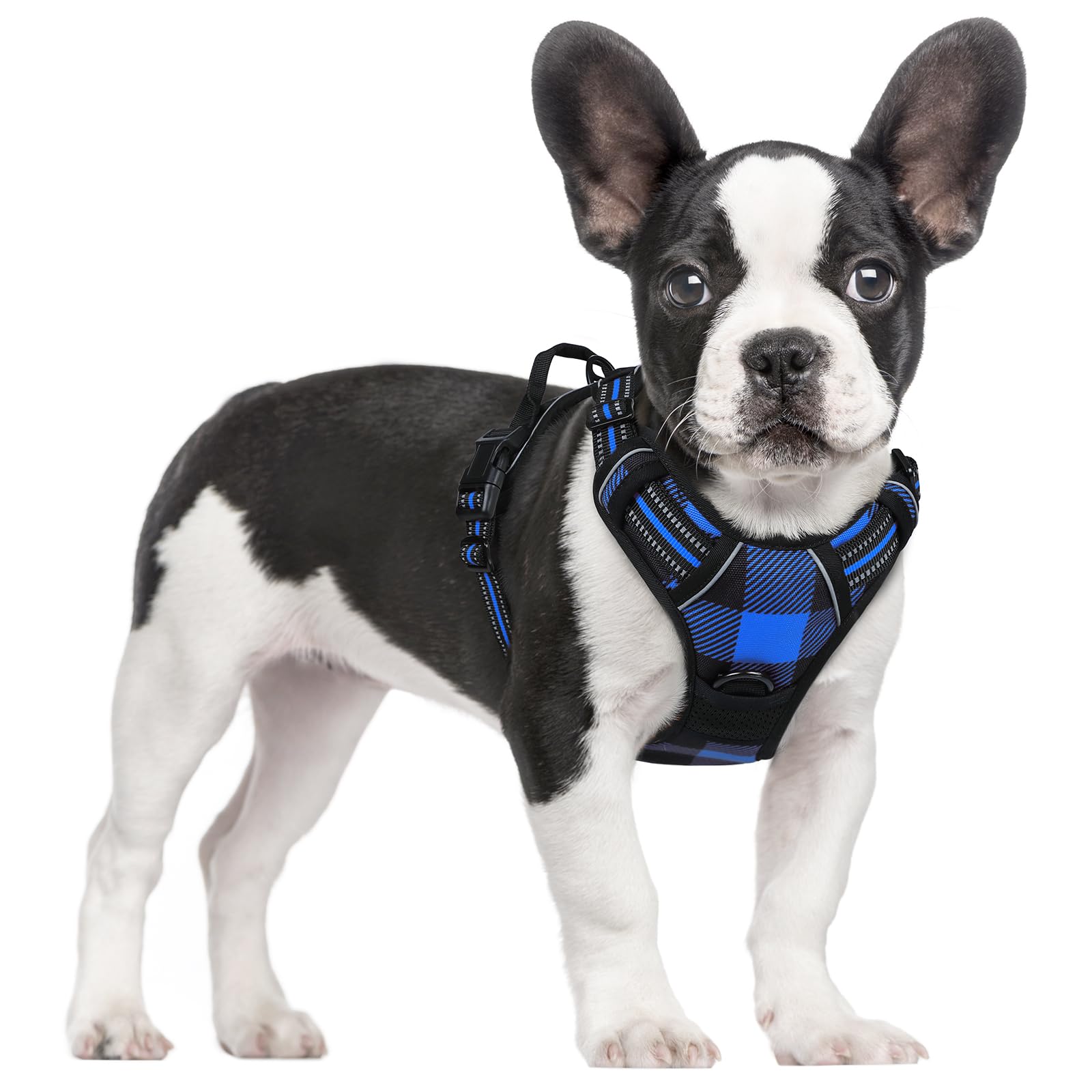 rabbitgoo dog harness blue plaid front view with padded chest for comfortable walks