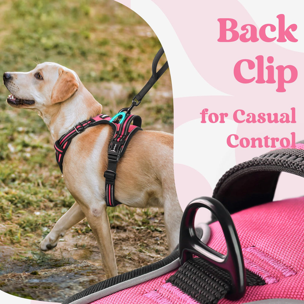 Rabbitgoo rose pink breathable air mesh panel keeps dogs cool