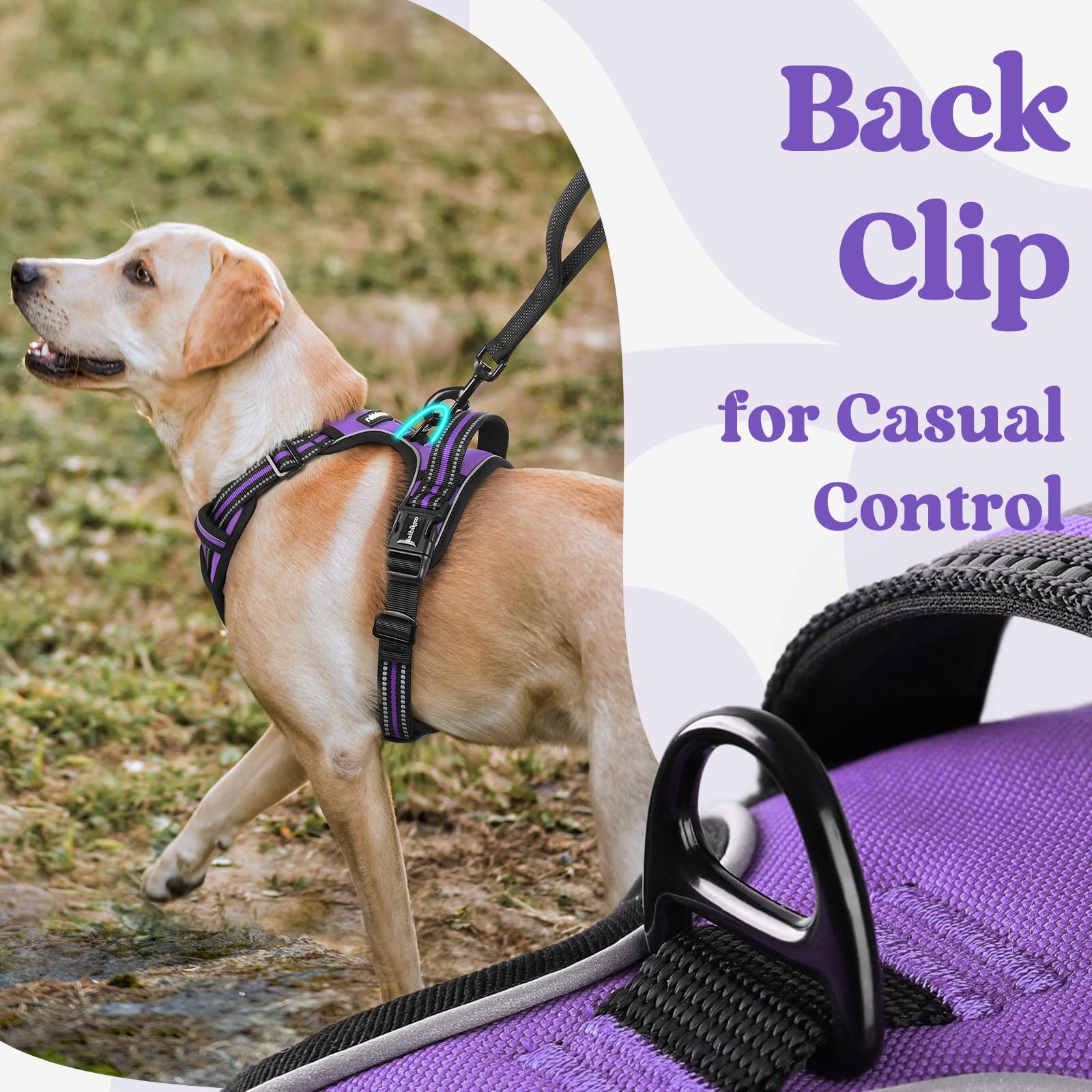 rabbitgoo breathable air mesh keeps dogs cool and comfortable on hot days